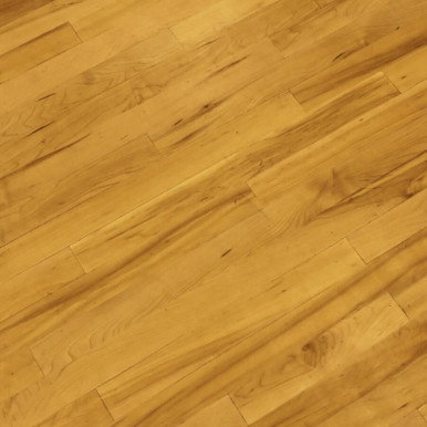 Carpet - Hard Floors Restoration SWMS | SafetyDocs PDF & Word Templates