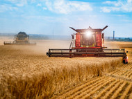 A Quick History of the Grain Harvesting Process