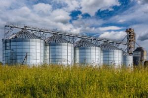 Types of Grain Storage: Understanding the Different Grain Bin Systems