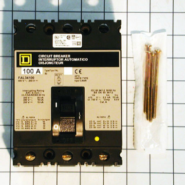 CIRCUIT BREAKER - 100A 3PL