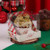 Jango Embalagens 10 Pack Mini Panettone Box with Acetate Lid BOM-VELHINHO (Code 4268)  Jango Embalagens 10 Pack Mini Panettone Box with Acetate Lid BOM-VELHINHO (Code 4268)