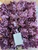 Forminhas Boston Final Sale wrappers 40  units per box 