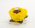 Forminhas Boston Bella Flower Truffle Wrapper  Forminhas Boston Bella Flower Truffle Wrapper