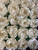Forminhas Boston Bella Flower Truffle Wrapper  Forminhas Boston Bella Flower Truffle Wrapper