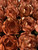 Forminhas Boston Bella Flower Truffle Wrapper  Forminhas Boston Bella Flower Truffle Wrapper