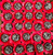 Forminhas Boston Myosotis Flower Wrapper  Collection  Forminhas Boston Myosotis Flower Wrapper  Collection