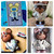 BWB Molds Chocolate Bear  Family (Codes 9910, 9935 )  BWB Molds Chocolate Bear  Family (Codes 9910, 9935 )