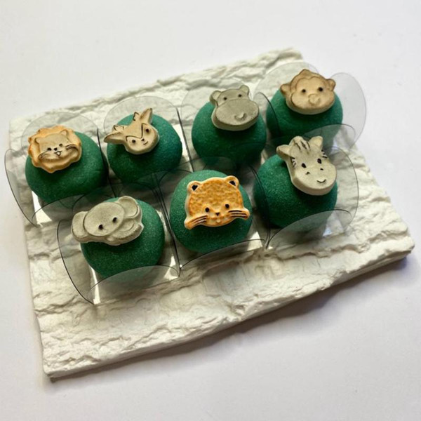 BWB Molds Apliqué Safari Animals (Code 10424)one-part Mold 