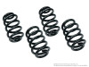 Neuspeed Sport Springs for B5 Passat 2.8 30V