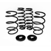 eMMOTION Lowering Spring Kit for MK7/7.5 Golf SportWagen