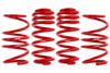 APR Roll-Control Lowering Springs for MK8 Golf R