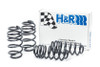 H&R Sport Springs for B7 Passat 3.6 VR6