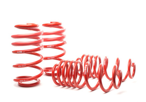 H&R Sport Springs for B8 RS5 Coupe H&R Sport Springs for B8 RS5 Coupe