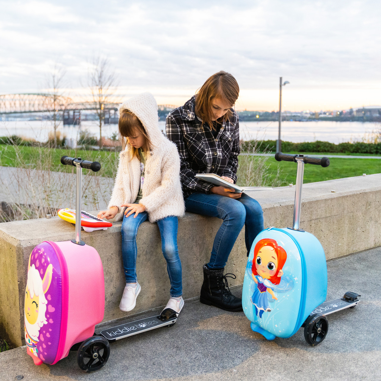Airwheel 36V 250W Travel Luggage Bags Electric Mobility Scooter - China Scooter  Suitcase and Scooter Electric price | Made-in-China.com