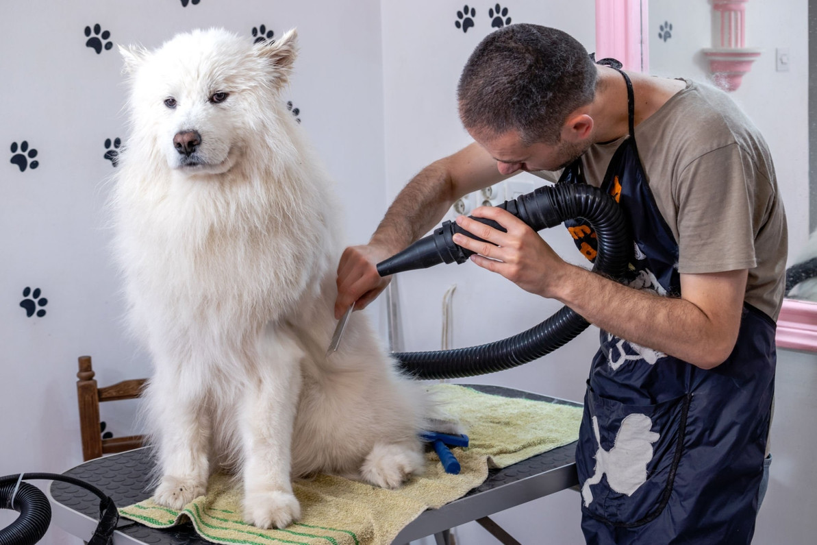 Pet sales dryers grooming