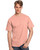 Hanes 5250T - Men's Authentic-T T-Shirt