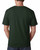 Bayside BA5040 - Adult 5.4 oz., 100% Cotton T-Shirt