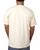 Bayside BA5040 - Adult 5.4 oz., 100% Cotton T-Shirt