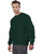 Champion S1049 - Adult Reverse Weave® Crew