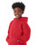 Champion S790 - Youth Double Dry Eco® Pullover Hooded Sweatshirt