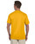 Augusta Sportswear 790 - Adult NexGen Wicking T-Shirt