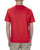 Alstyle AL1301 - Adult 6.0 oz., 100% Cotton T-Shirt