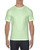 Alstyle AL1301 - Adult 6.0 oz., 100% Cotton T-Shirt