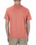 Alstyle AL1301 - Adult 6.0 oz., 100% Cotton T-Shirt