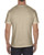 Alstyle AL1301 - Adult 6.0 oz., 100% Cotton T-Shirt