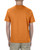 Alstyle AL1301 - Adult 6.0 oz., 100% Cotton T-Shirt