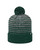 Top Of The World TW5001 - Adult Ritz Knit Cap