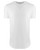 Next Level 3602 - Men's Cotton Long Body Crew