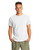 Hanes 42TB - Adult Perfect-T Triblend T-Shirt