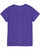 Hanes 42VT - Ladies' Perfect-T Triblend V-Neck T-shirt