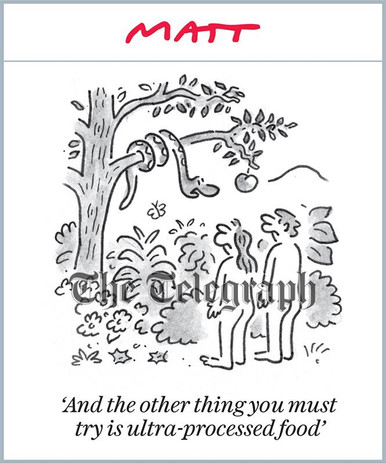 39935905-Matt Cartoon And the other thing you must try is ultra