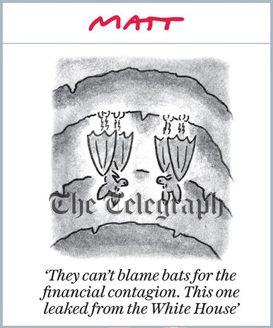 40242304-Matt Cartoon They can't blame bats for the financial contagion