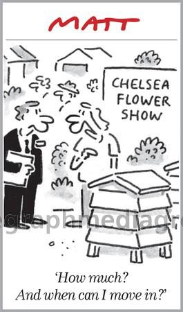 27894882-Matt Cartoon Chelsea Flower Show : How Much and when can I ...