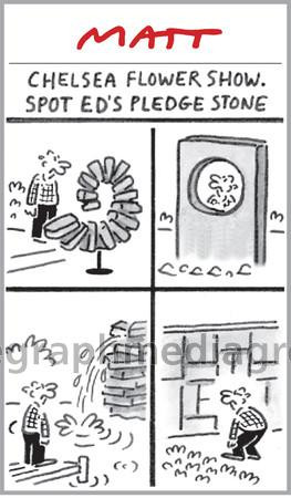30767259-Matt Cartoon : Chelsea Flower Show. Spot Ed s Pledge Stone ...