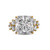 11CT Princess cut with 1.1TCW Round Sides(12.1 TCW)
