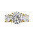2.5ct Round Cut Center with 2 Round Cut Stones of 1.25ct on the sides. Center stone size: 9mm.    F315-CZ-14K