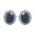 EARRING LG RD CTR W/2ROWS  RDS SURR - 17495E/ONYX/CZ