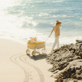 The Beach Cart - Crew Mimosa Yellow Stripe