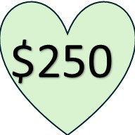 $250 donation