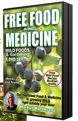 FREE FOOD & MEDICINE ... IN YOUR OWN BACKYARD!