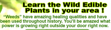 HEALTH - How to identify Free Food & Medicine in your backyard