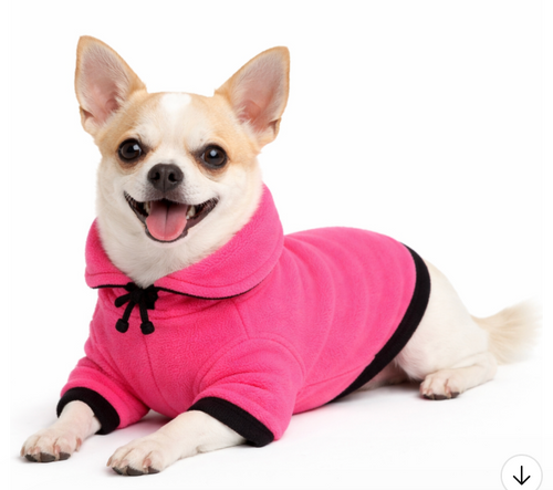 Hot Pink polar fleecy on Chihuahua