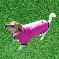 Jack Russell wearing a Hot Pink polar fleece dog jumper. Made in Australia by My Pet.