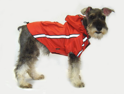 Water resistant hooded dog's raincoat with reflective trim Water resistant hooded dog's raincoat with reflective trim