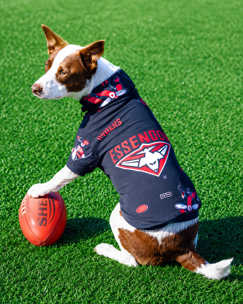 AFL Essendon fleecy dog jumper - Made in Australia