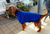 Royal Blue Fleecy Dog Jumper - Size 12 - Made in Australia by My Pet